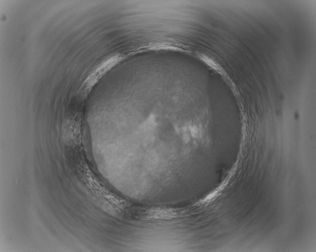 X0000052980977200507291547