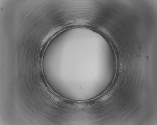 X0000052980978200507291547