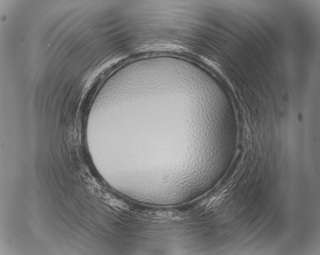 X0000052980979200507291547