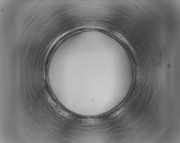 X0000052980980200507291547