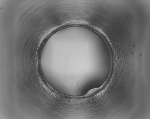 X0000052980981200507291547