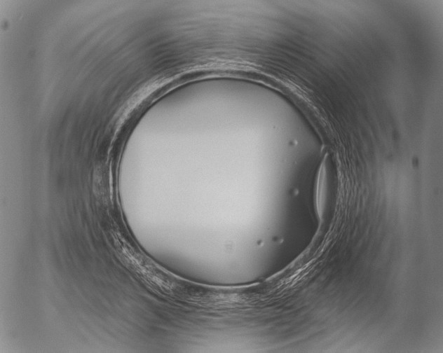 X0000052980982200507291547