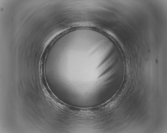 X0000052980983200507291547