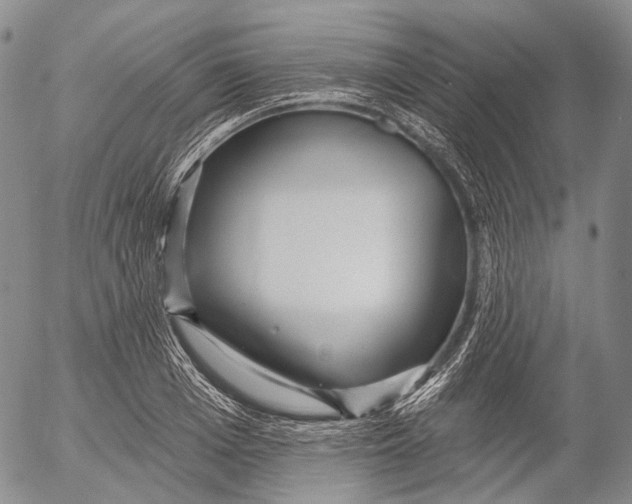 X0000052980985200507291547