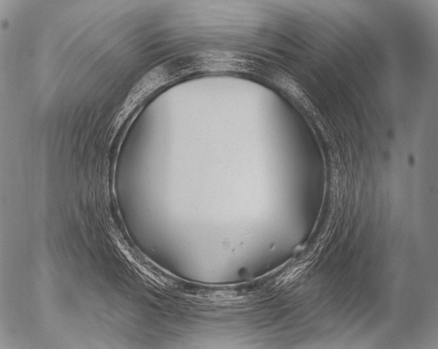 X0000052980986200507291547