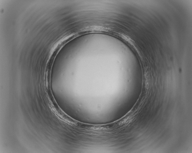 X0000052980987200507291547