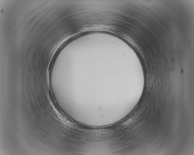 X0000052980988200507291547