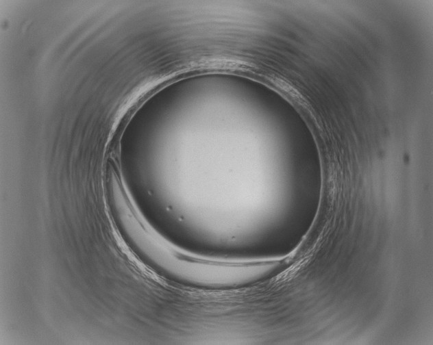 X0000052980989200507291547