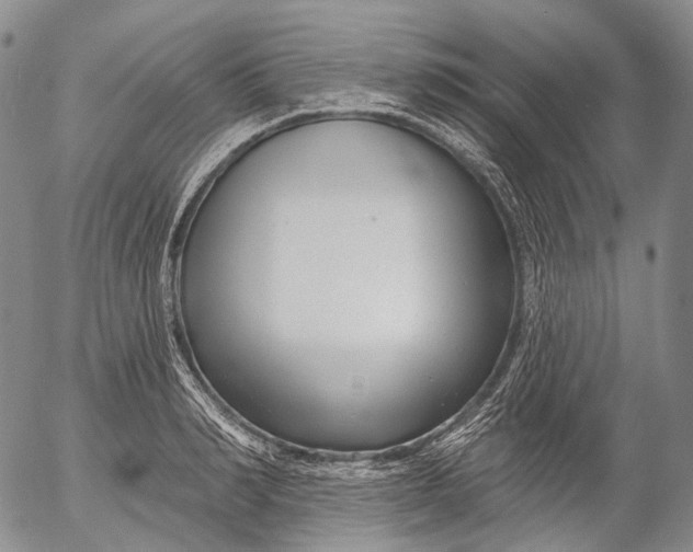 X0000052980990200507291547