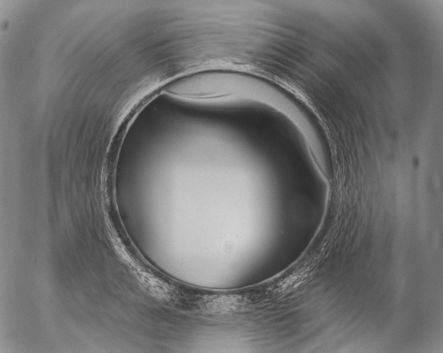 X0000052980991200507291547