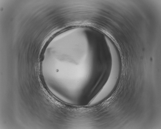 X0000052980992200507291547