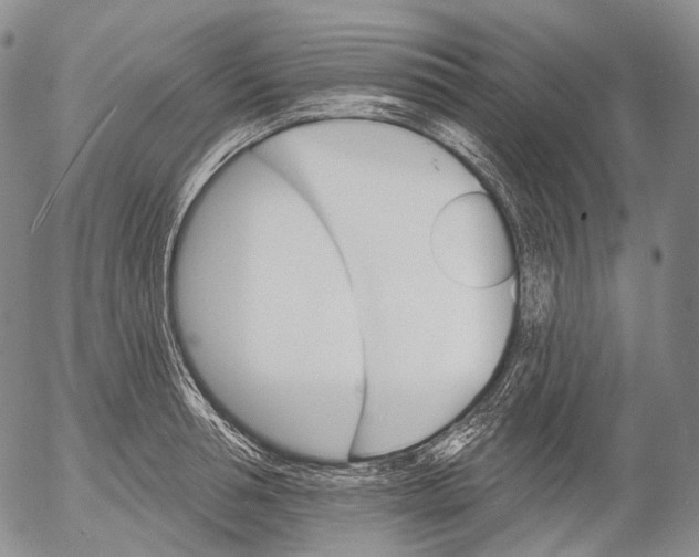 X0000052980994200507291547