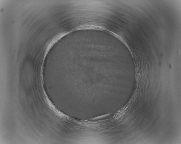 X0000052980995200507291547