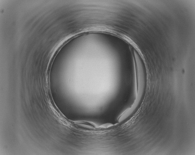 X0000052980996200507291547