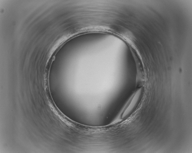 X0000052980997200507291547