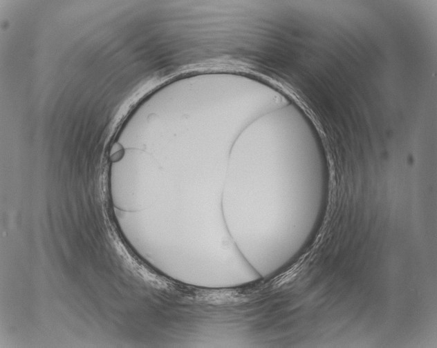 X0000052980998200507291547