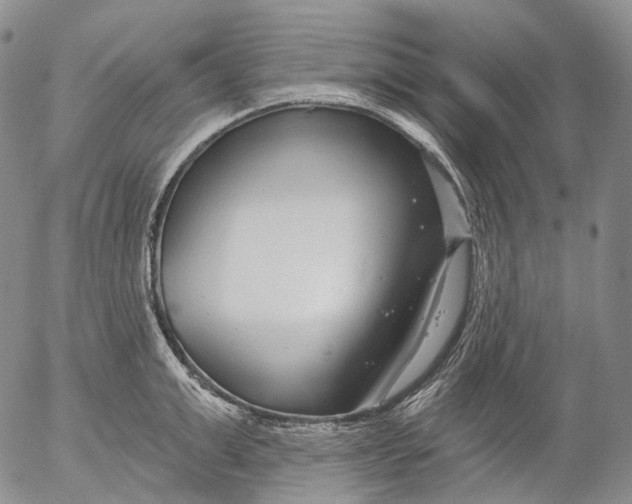 X0000052980999200507291547