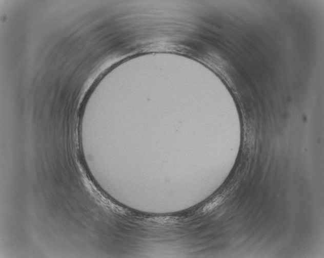 X0000052981000200507291547