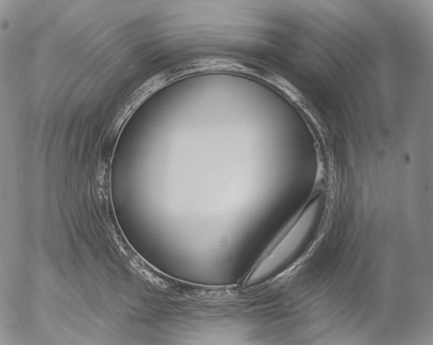 X0000052981001200507291547