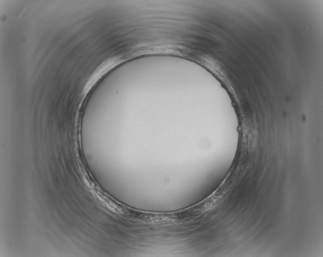 X0000052981002200507291547