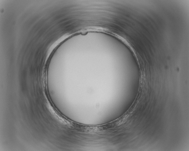 X0000052981003200507291547