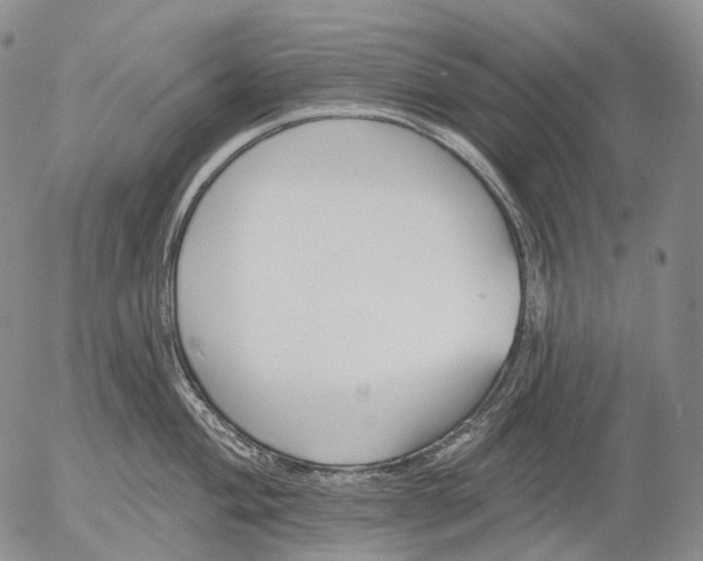 X0000052981004200507291547