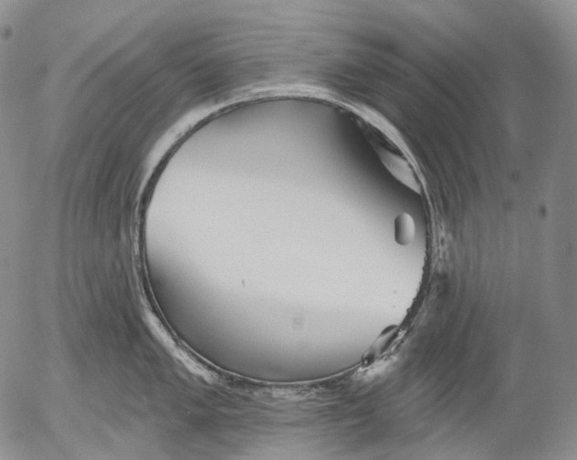 X0000052981005200507291547