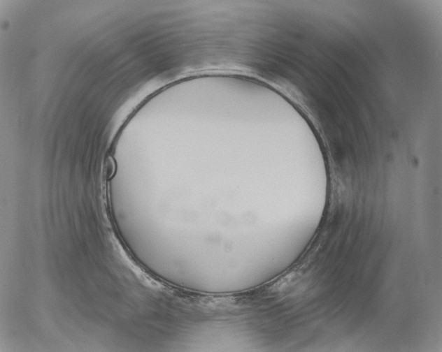 X0000052981006200507291547