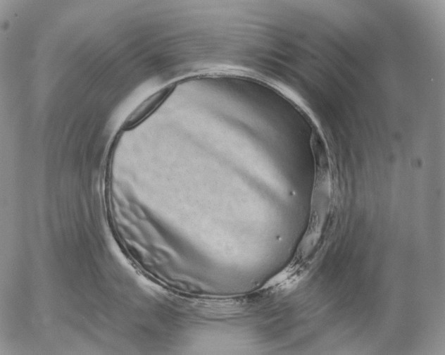 X0000052981007200507291547