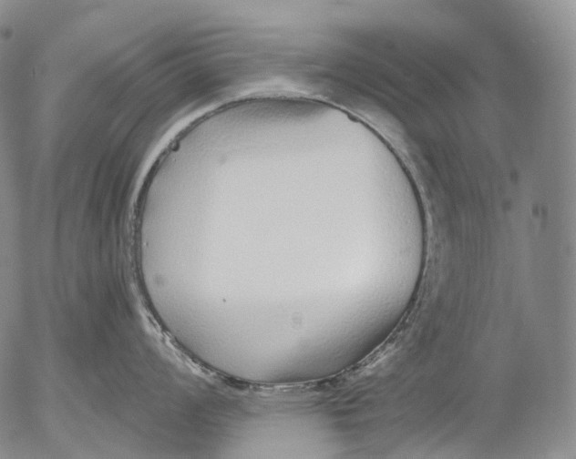 X0000052981008200507291547