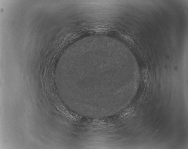 X0000052981009200507291546