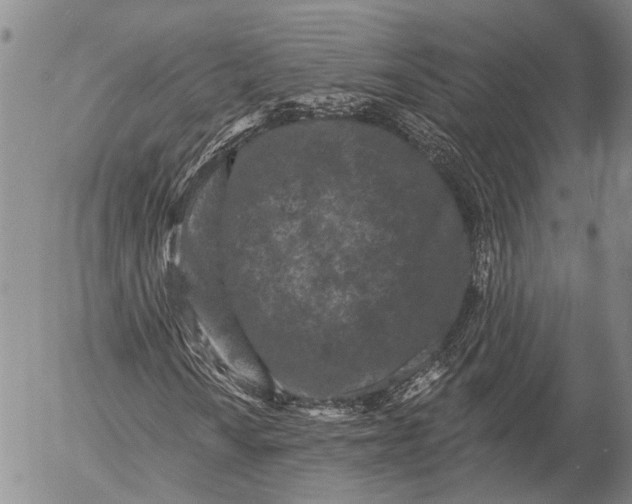 X0000052981010200507291546