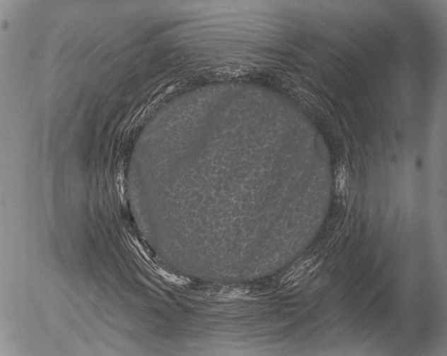 X0000052981011200507291546