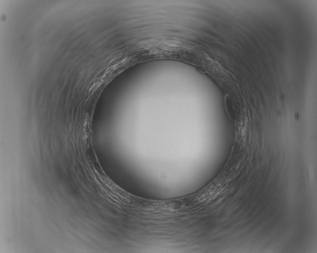 X0000052981012200507291546