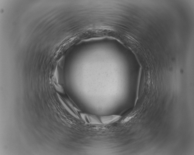 X0000052981014200507291546