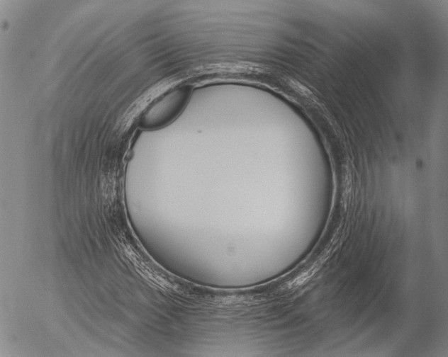 X0000052981017200507291546