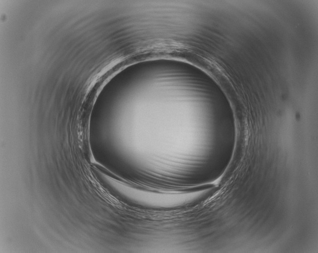 X0000052981018200507291546