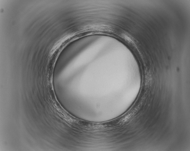 X0000052981019200507291546