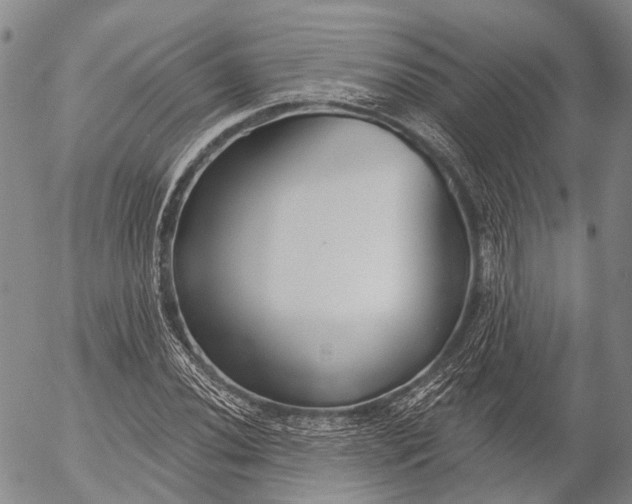 X0000052981020200507291546