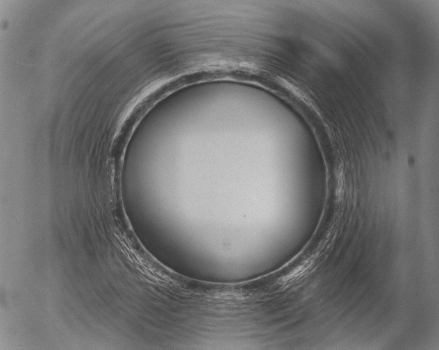 X0000052981021200507291546