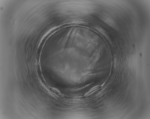 X0000052981024200507291546