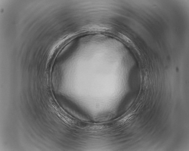 X0000052981027200507291546