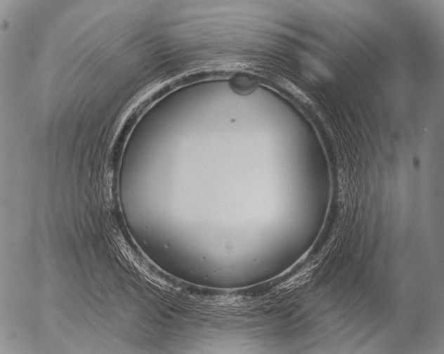 X0000052981029200507291546