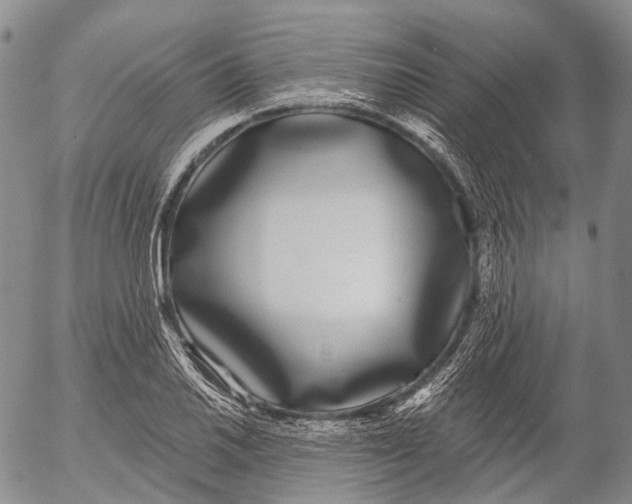 X0000052981030200507291546