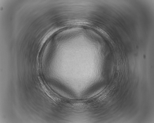 X0000052981031200507291546