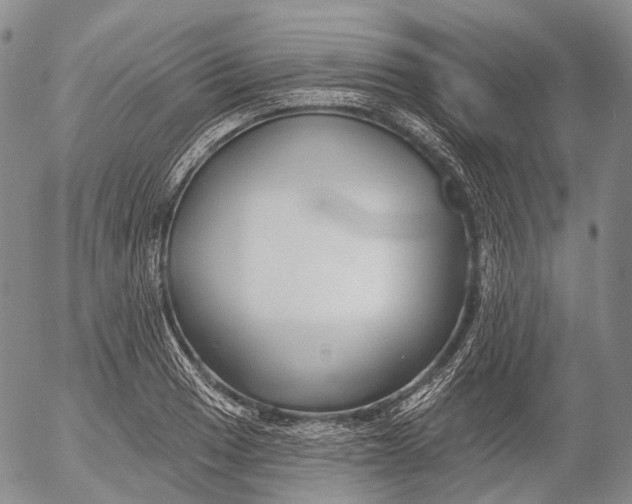 X0000052981033200507291546