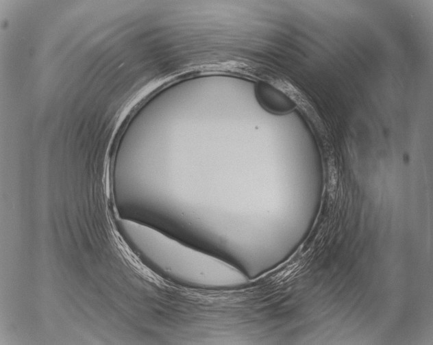 X0000052981036200507291546