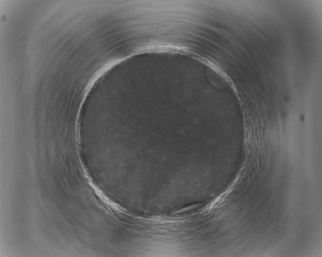 X0000052981037200507291546