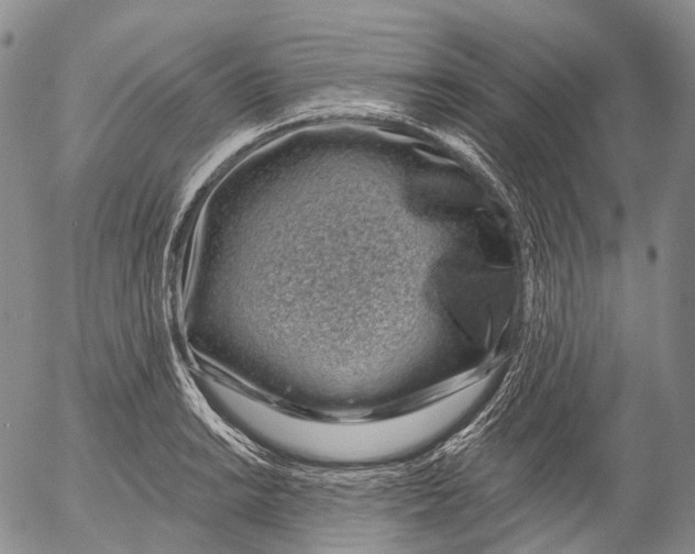 X0000052981038200507291546