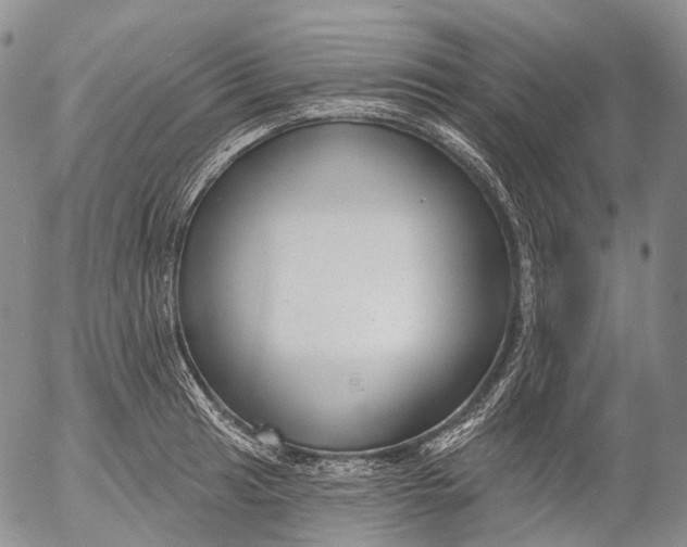 X0000052981041200507291546